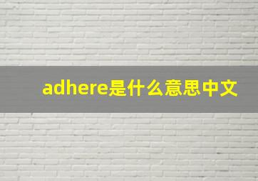 adhere是什么意思中文