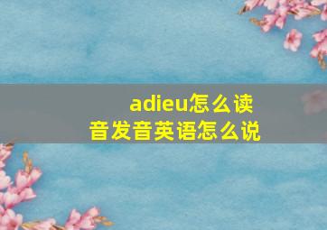 adieu怎么读音发音英语怎么说