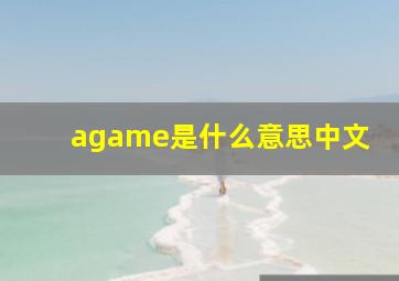 agame是什么意思中文