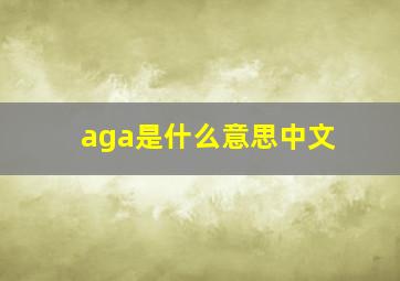 aga是什么意思中文