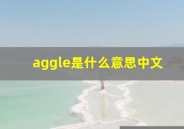 aggle是什么意思中文