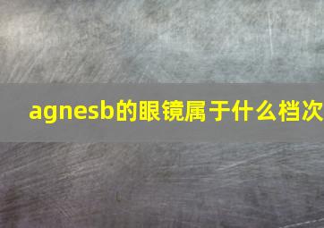 agnesb的眼镜属于什么档次