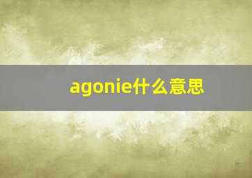 agonie什么意思