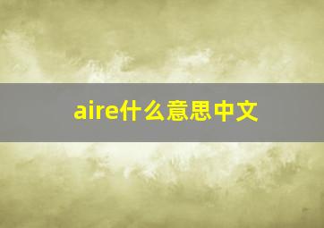 aire什么意思中文