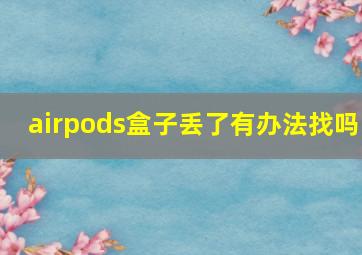 airpods盒子丢了有办法找吗