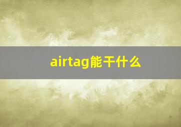 airtag能干什么