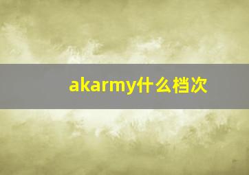 akarmy什么档次