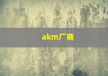 akm厂商