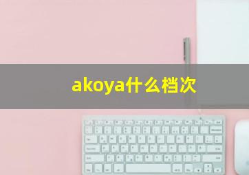 akoya什么档次