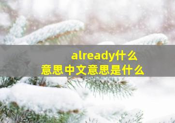 already什么意思中文意思是什么