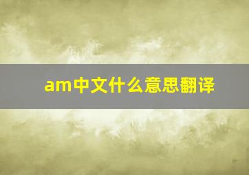 am中文什么意思翻译