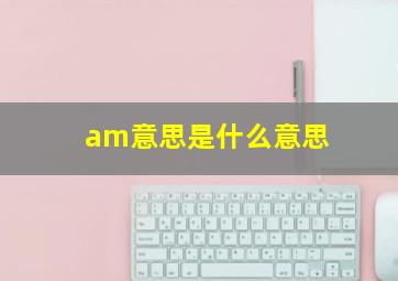 am意思是什么意思