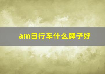 am自行车什么牌子好