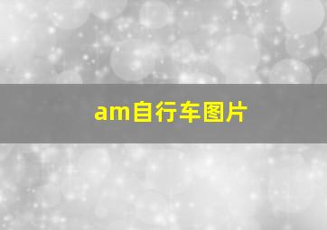 am自行车图片