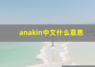 anakin中文什么意思