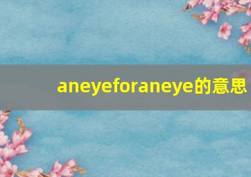 aneyeforaneye的意思