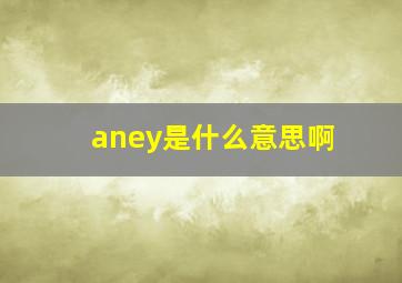 aney是什么意思啊