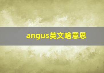 angus英文啥意思