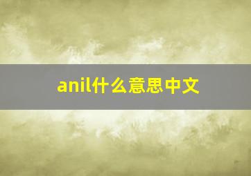 anil什么意思中文