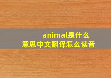 animal是什么意思中文翻译怎么读音