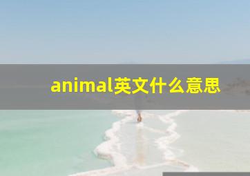 animal英文什么意思