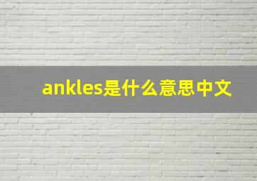 ankles是什么意思中文