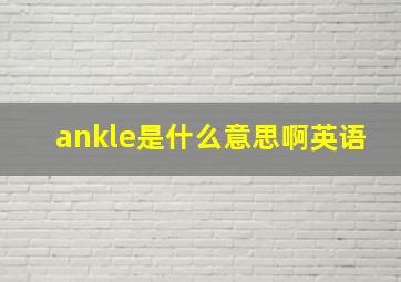 ankle是什么意思啊英语