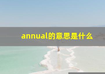 annual的意思是什么