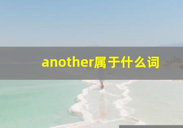 another属于什么词