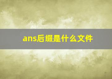 ans后缀是什么文件