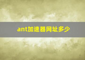 ant加速器网址多少