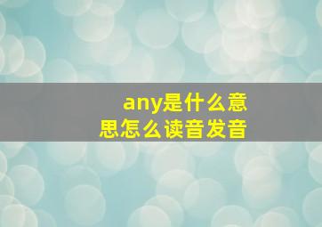 any是什么意思怎么读音发音