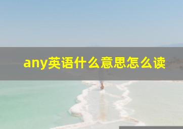 any英语什么意思怎么读