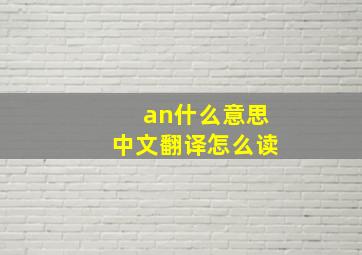 an什么意思中文翻译怎么读