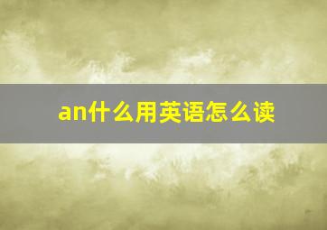 an什么用英语怎么读