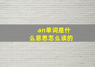 an单词是什么意思怎么读的