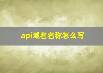 api域名名称怎么写