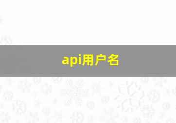 api用户名