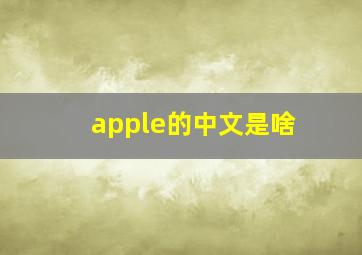 apple的中文是啥