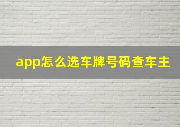 app怎么选车牌号码查车主