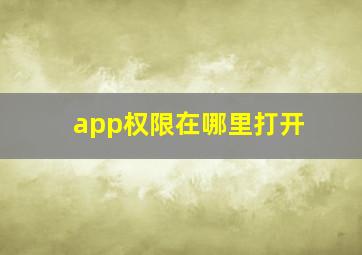 app权限在哪里打开