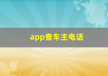 app查车主电话