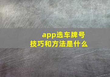 app选车牌号技巧和方法是什么