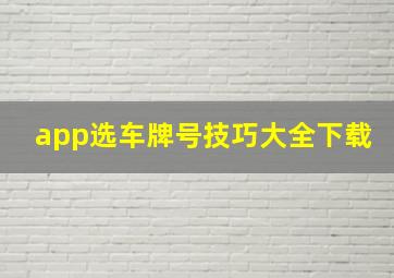 app选车牌号技巧大全下载