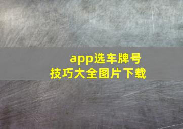 app选车牌号技巧大全图片下载