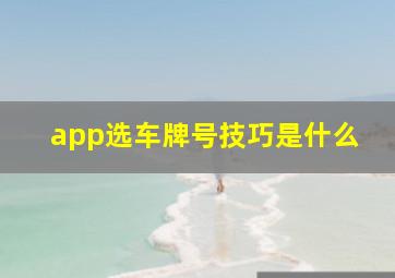 app选车牌号技巧是什么