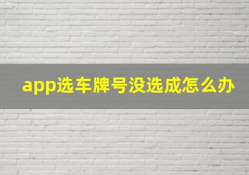 app选车牌号没选成怎么办