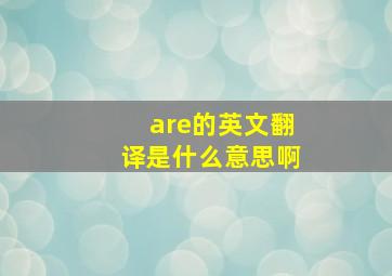 are的英文翻译是什么意思啊