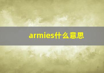 armies什么意思