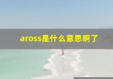 aross是什么意思啊了